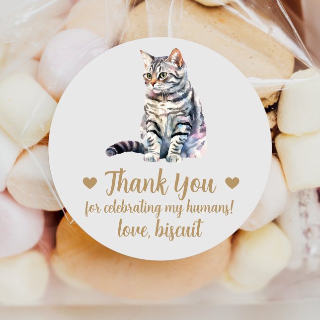 Autocollants de Faveur de Mariage de Chat Américai (Créateur téléchargé)