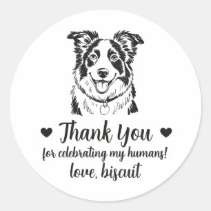 Autocollants de faveur de mariage de chien Border 