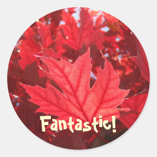Autocollants de feuille d'automne rouge Fantastiqu (Devant)