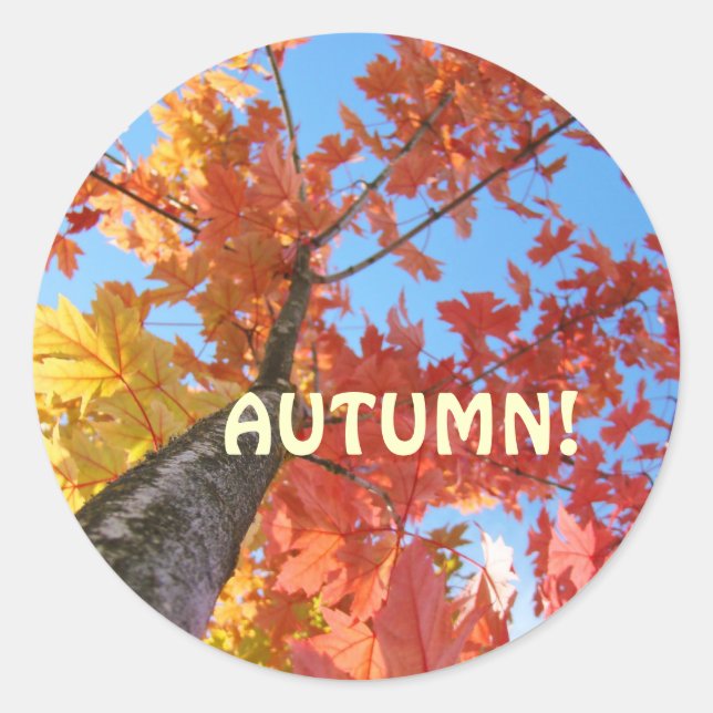 Autocollants de feuilles d'automne personnalisés F (Devant)