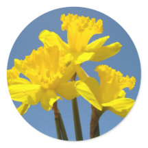 Autocollants de fleurs de jonquilles de printemps,