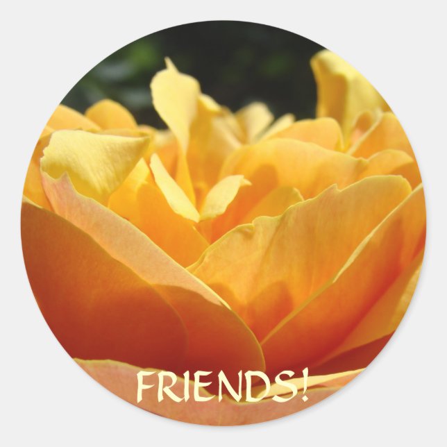 Autocollants de fleurs de rose FRIENDS Cadeaux d'a (Devant)