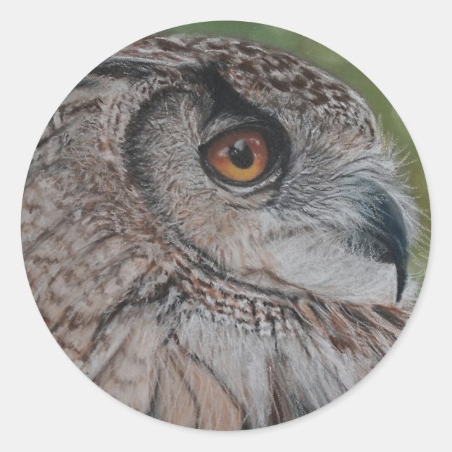 Autocollants de hibou (Devant)