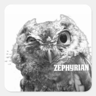Autocollants de hibou de Zephyrian