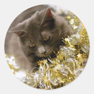 Autocollants de Kitty de tresse de Noël
