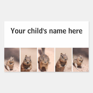 Autocollants de livres scolaires Chipmunk Squirrel