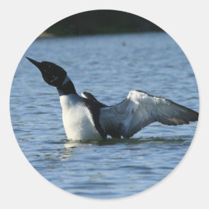 Autocollants de Loon