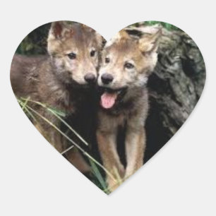 autocollants de loup