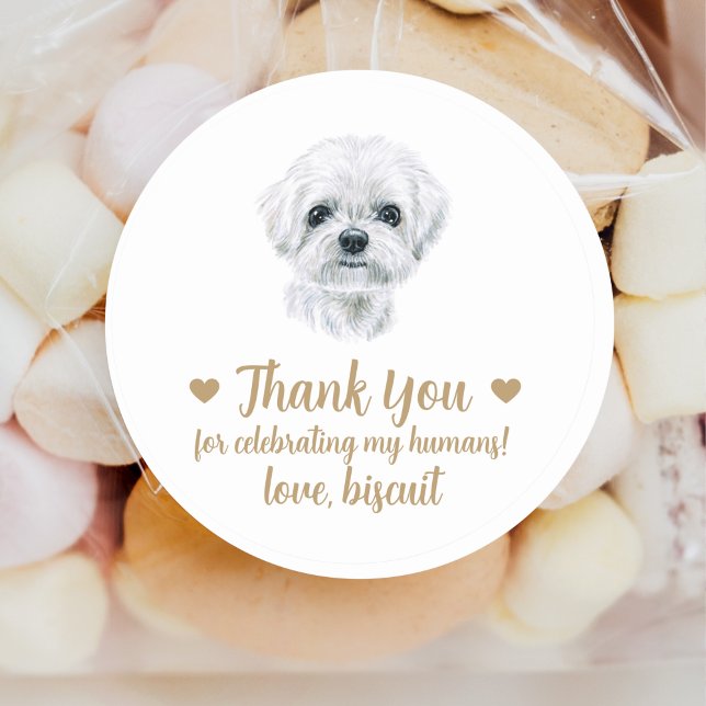Autocollants de mariage personnalisés pour chiens (Créateur téléchargé)