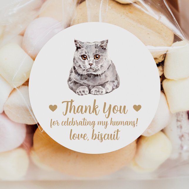 Autocollants de Mariage pour Chat British Shorthai (Créateur téléchargé)