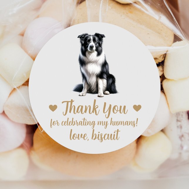 Autocollants de mariage pour chien Border Collie (Créateur téléchargé)
