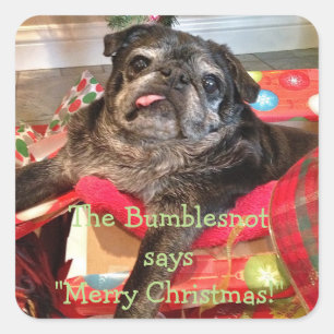 Autocollants de Noël de Bumblesnot