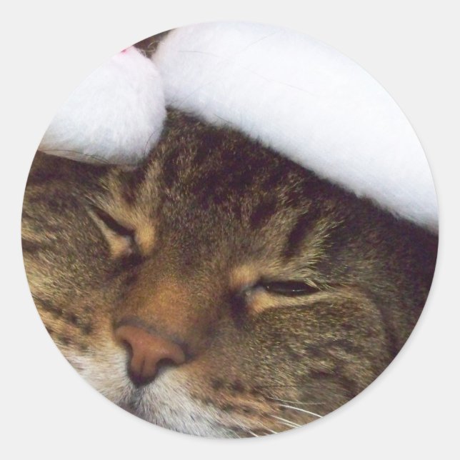 autocollants de Noël kitty (Devant)