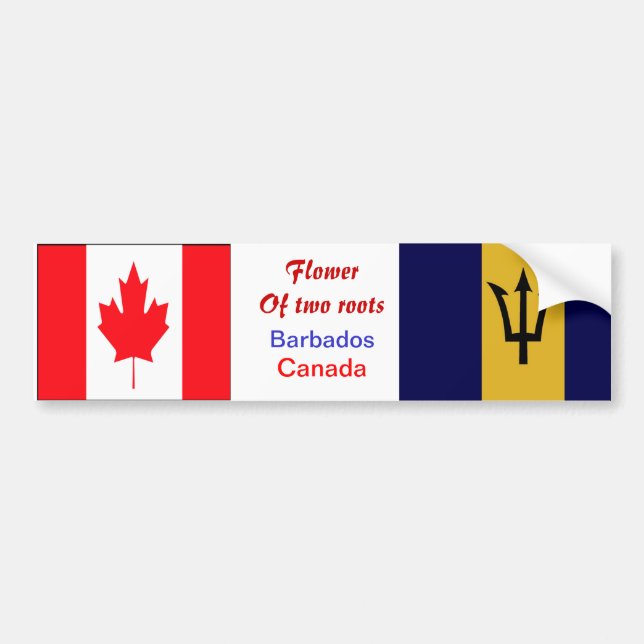 Autocollants de pare-chocs Bajan-canadien (Devant)