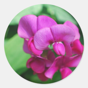 Autocollants de pois doux