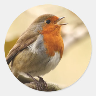 Autocollants de Robin