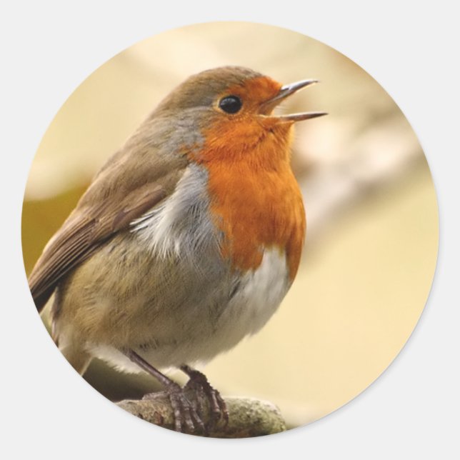 Autocollants de Robin (Devant)