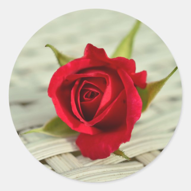 Autocollants de rose rouge pour enveloppes (Devant)