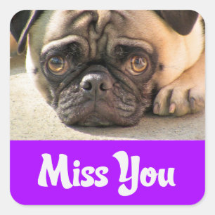 Autocollants de salutation Chien Chiot Carlin Tu M