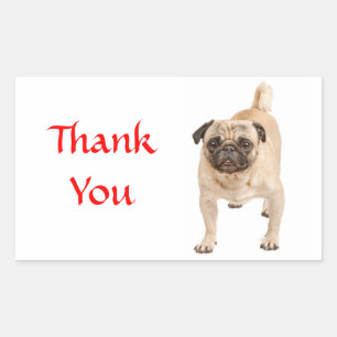 Autocollants de salutation Chien Pug chiot Merci