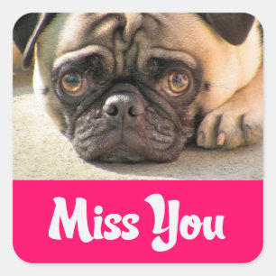 Autocollants de salutation Chien Toutou Pug Vous M