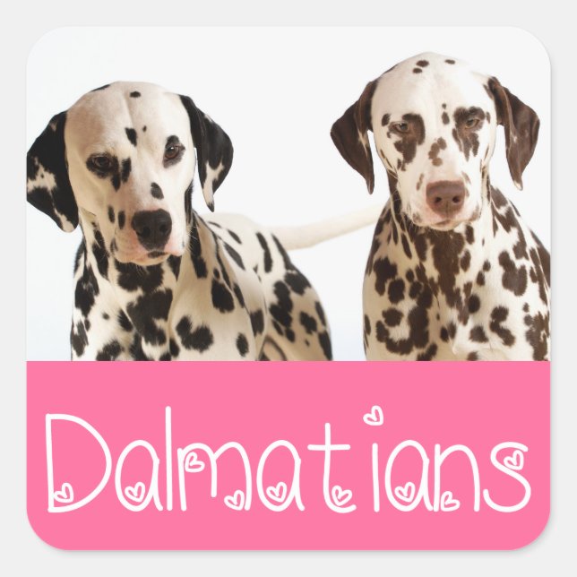 Autocollants de salutation de chiot Dalmatien (Devant)