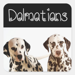Autocollants de salutation de chiot dalmatien