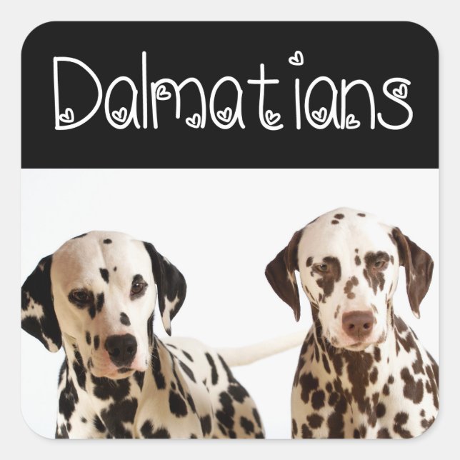 Autocollants de salutation de chiot dalmatien (Devant)