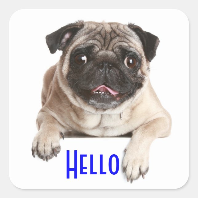 Autocollants de salutation Hello Chien chiot Pug (Devant)