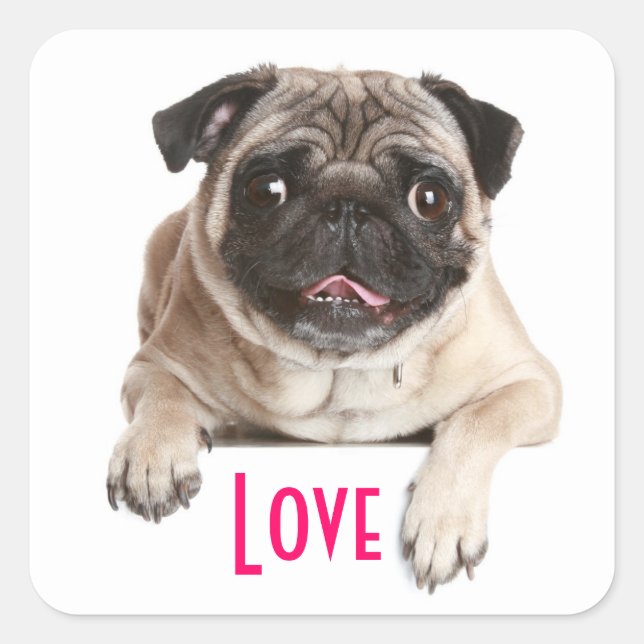 Autocollants de salutation pour chien chiot Pug d' (Devant)