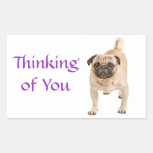 Autocollants de salutation pour chien chiot Pug Pe