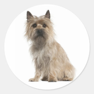 Autocollants de salutation pour chiot Cairn Terrie