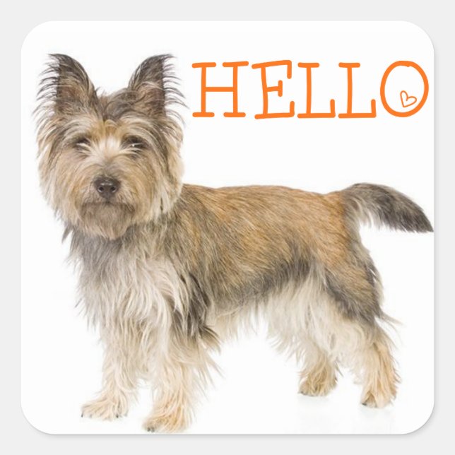 Autocollants de salutation pour chiot Terrier Cair (Devant)