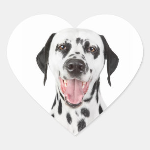 Autocollants de salutation pour chiots dalmates he