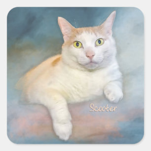 Autocollants de scooter