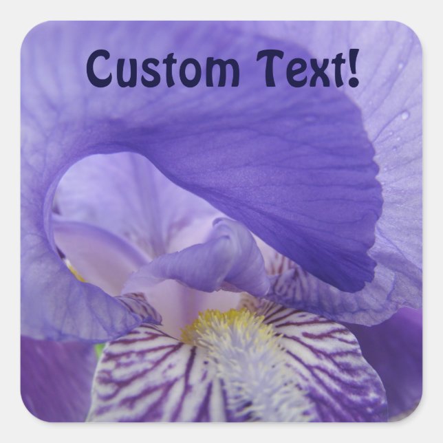 Autocollants de texte personnalisés Fleurs d'iris  (Devant)