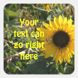 Autocollants de tournesol