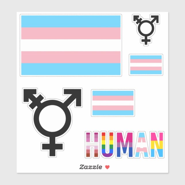 Autocollants découpés Drapeau de fierté transgenre (Feuille)