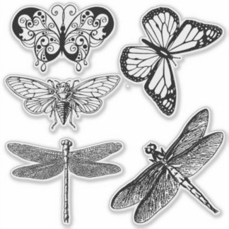 Autocollants d'insectes volants transparents