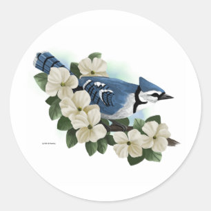 Autocollants d'oiseau