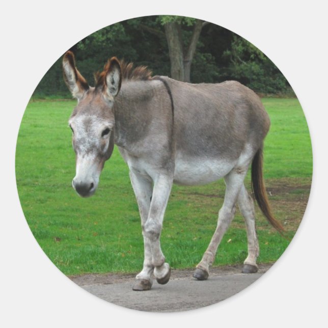 Autocollants Donkey (Devant)