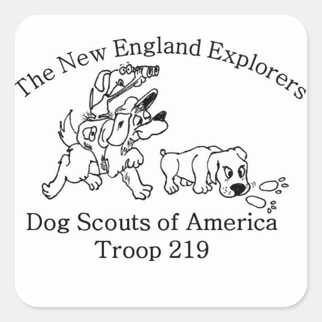 Autocollants DSA Troop 219 (Devant)