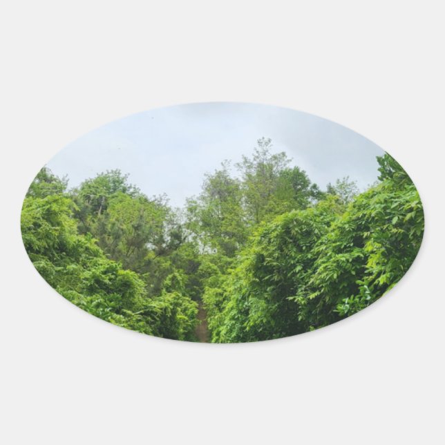 autocollants écologiques (Devant)