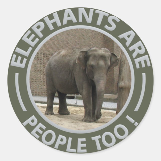 Autocollants ELEPHANTS (Devant)
