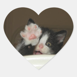 Autocollants en forme de coeur Hi kitten