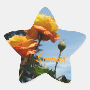 Autocollants en forme d'étoile d'été Fleurs Orange