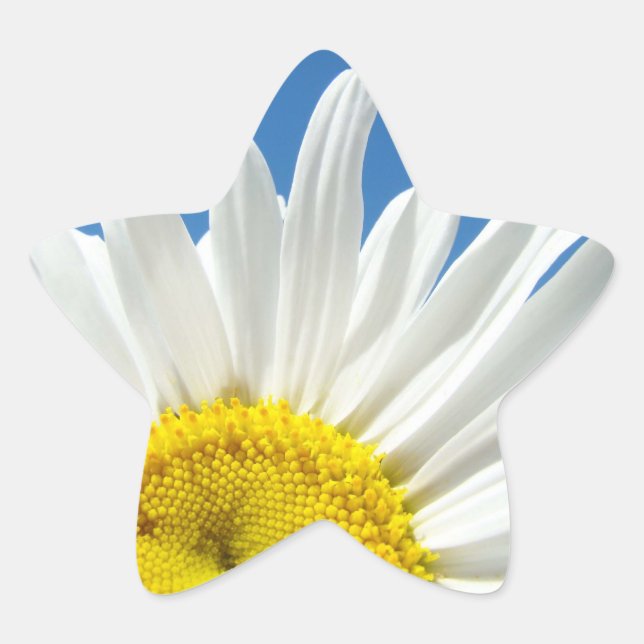 autocollants en forme d'étoile Fleurs de marguerit (Devant)