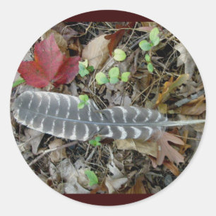 Autocollants en plumes de Turquie sauvage