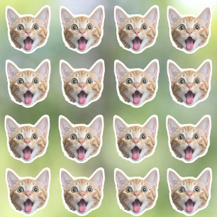 Autocollants en vinyle étanche photo personnalisés