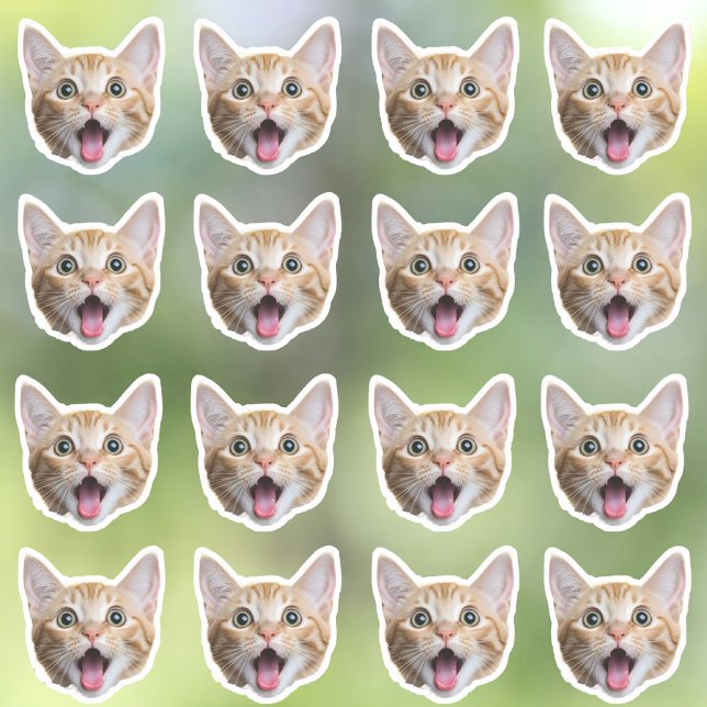 Autocollants en vinyle étanche photo personnalisés (Créateur téléchargé)